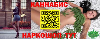 спайс Ачхой-Мартан