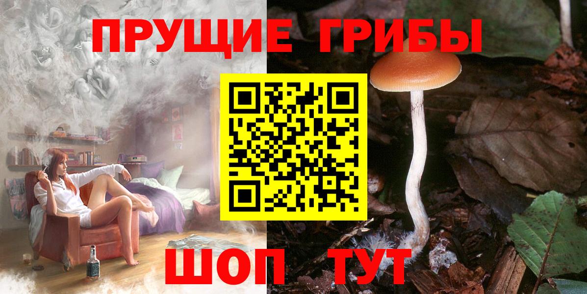 Псилоцибиновые грибы GOLDEN TEACHER  Псилоцибиновые грибы MAGIC MUSHROOMS  Вход с VPN  Рыбинск 
